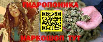 крисы Рыбинск