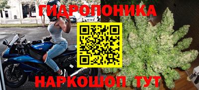 крисы Рыбинск
